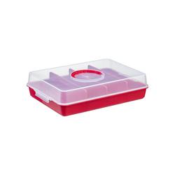 Прямоугольный контейнер для торта Plast Team